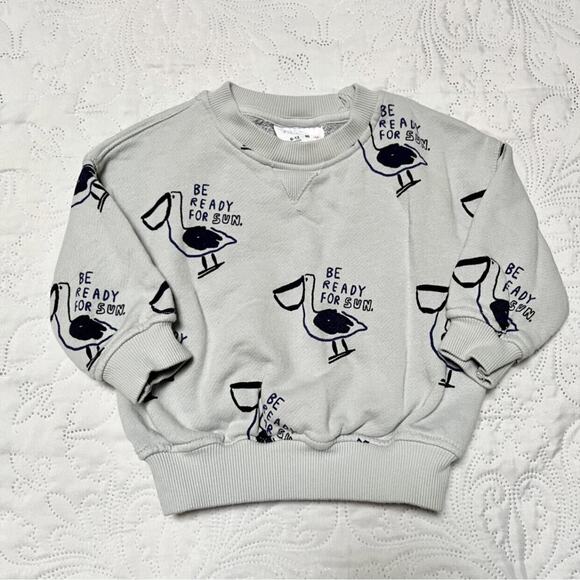 Zara Pelican Crewneck Sweatshirt Size 12m - Picture 2 of 6